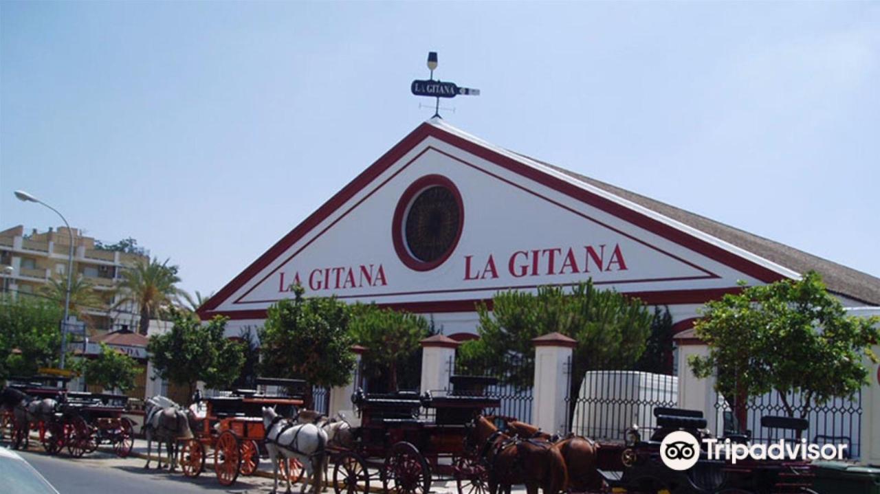 Convento De La Victoria Junto Al Cabildo Con Wifi Y Parking Gratis Apartment