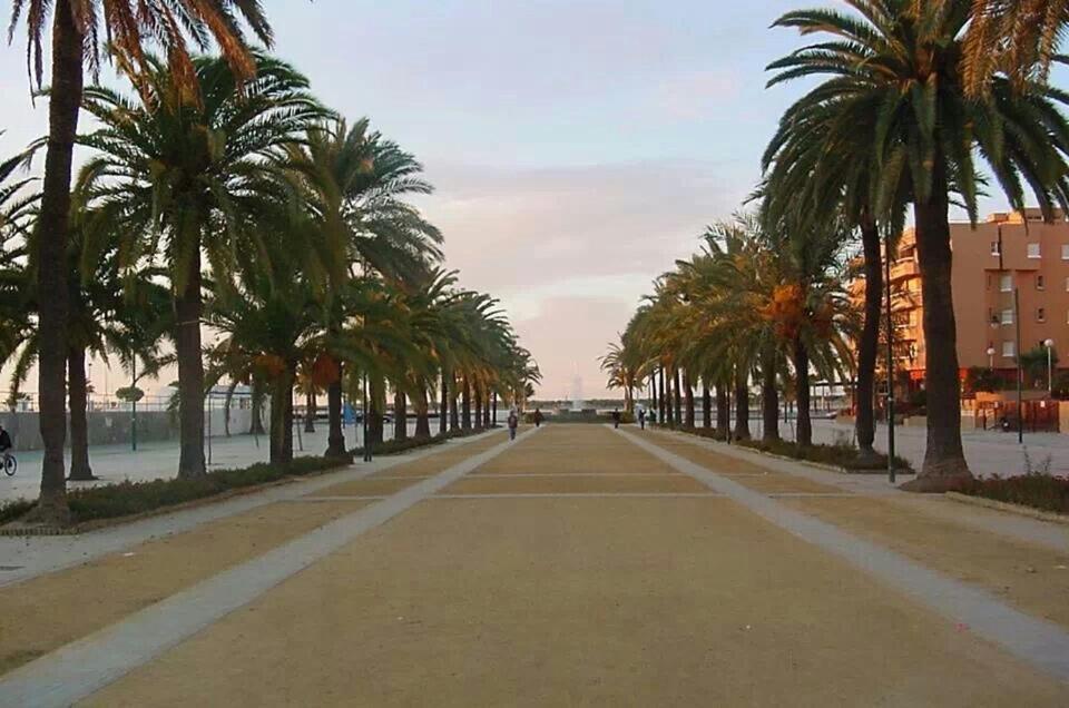 Convento De La Victoria Junto Al Cabildo Con Wifi Y Parking Gratis Apartment
